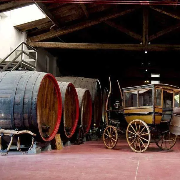 Museo del Vino e dell'Acetaia